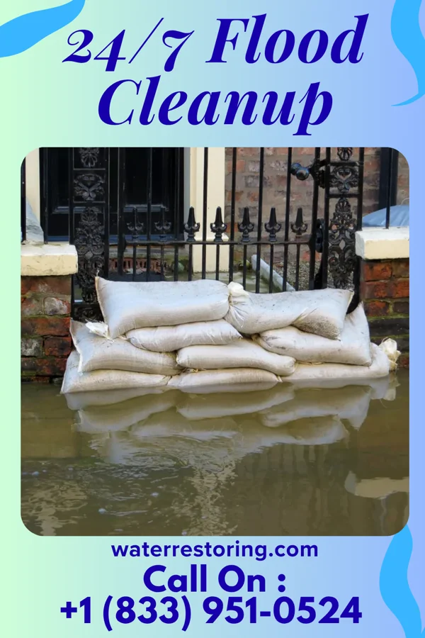 24/7 Flood Cleanup in Pleasant Hill, TX